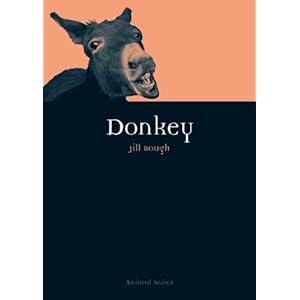 Donkey (Animal)