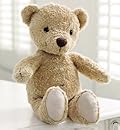 Spencer Bear