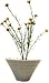 �s���ԁE�ԕr�tF-style vase Wild mini daisy�i���C���h �~�j �f�C�W�[�j
