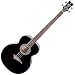 Dean PlayMate EAB Acoustic Bass Guitar (Classic Black)