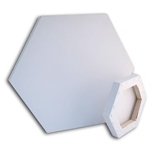 2 HEXAGONAL DEEP EDGE BLANK BOX ARTIST CANVAS 52cm