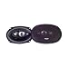 Riesen L 23 At Car Speakers
