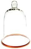 Keep It Simple With Katie Brown Glass Garden Cloche 11.25-inch Tall