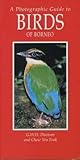 A photographic guide to birds of Borneo