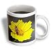 Wildflower Lance Leaf Coreopsis - 11oz Mug