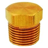 Buy 1 8 MPT-Solid Hex Head Plug Brass Pipe Fitting, Pack of 25 by Anderson Fittings
