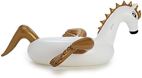SwanSquad Pegasus Inflatable Pool Float by SwanSquad