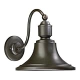 IMAGE OF Quorum 760-86 One Light Outdoor Wall Lantern, Oiled Bronze Finish