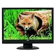 20" Wide LCD Black