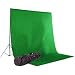 CowboyStudio Photography 10 X 12ft Chromakey Green Muslin Backdrop with Support System and Carry Bag
