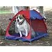 Pet Supplies : Kyjen Large Pet Tent and Shelter