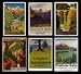 Swiss Alps Travel Posters