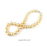 Single Strand 18 Inch 14MM Golden Color Shell Pearl Necklace