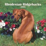 Rhodesian Ridgebacks 2008 Square Wall