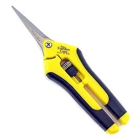 Secateur Garden Fruit Hand 2 1 from Hand Garden Tools