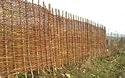 Willow Hurdles Fencing, 4ft 6' high x 6ft wide