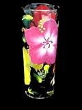 Hibiscus Design - Shooter