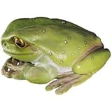 ＦＲＰオブジェ　でかいカエル