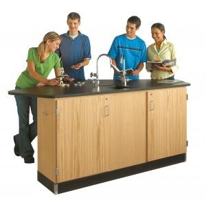 Forward Vision 4-Student Workstation