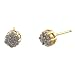 Jewelry : 10K Yellow Gold .25ct.t.w. Round Cut Diamond Flower Cluster Stud Earrings