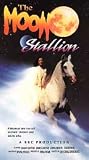 Moon Stallion