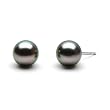 HinsonGayle Handpicked AAA 8.0-9.0mm Peacock Black Tahitian Cultured Pearl Stud Earrings (14K White Gold)