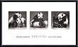 Art Poster Metal Framed Print - Pandas at Play (detail) - Artist: Robert Bateman- Poster Size: 14 X 24