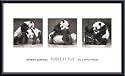 Art Poster Metal Framed Print - Pandas at Play (detail) - Artist: Robert Bateman- Poster Size: 14 X 24