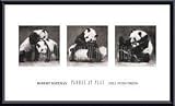 Art Poster Metal Framed Print - Pandas at Play (detail) - Artist: Robert Bateman- Poster Size: 14 X 24