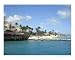 Palm Tree Coast Places Photographic Poster Print by S Mahoe, 10x8