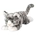 Plush Floppy Grey Tiger Cat 7