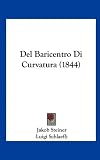 Del Baricentro Di Curvatura (1844) (Italian Edition)