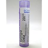 Click here to buy Boiron Spongia Tosta 200ck - 80 Pellets by Boiron.
