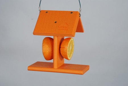 Going Green Oriole Feeder Orange