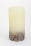 31b1T3DSQqL. SL160  Pillar Candle with Inset Dried Lemon Slices