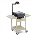 31b1WgGhDKL. SL75  Household Essentials 05121 Slimline 3 Tier Storage Cart, White Metal Frame