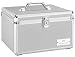 Disc Storage Solutions 300-CD Storage Case (Silver)