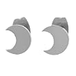 Surqical Steel Crescent Moon Earrings
