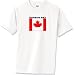 Hudson Bay Flag T-Shirt 6.1 Heavyweight