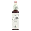 Bach Original Flower Remedies - Oak 20ml (Quercus robur)