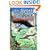 The Secret of the Black Moon Moth