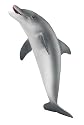 Schleich 16088  - Wild Life, Delphin