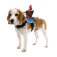 Halloween Party Karneval - Hundekost�m Der reitende Affe