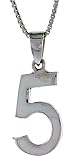 Sterling Silver Number 5 Pendant 3/4 in. (18 mm)