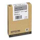 Epson Light Black Ink Cartridge