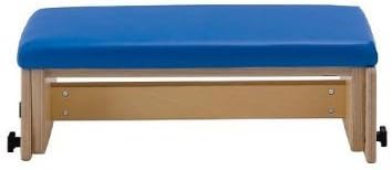 Professional Series Therapy Bench - Height Adjustable 7.5h- 11.5h