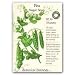 Peas Sugar Snap Certified Organic Seeds 85 Seeds