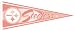Pittsburgh Steelers Pink Pennant