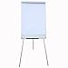 VIZ-PRO Light Weight Porcelain Magnetic Tripod Whiteboard/Flipchart Easel, 24