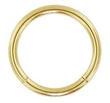 14 Gauge 3/4 - Solid 14kt Yellow Gold Seamless Segment Ring